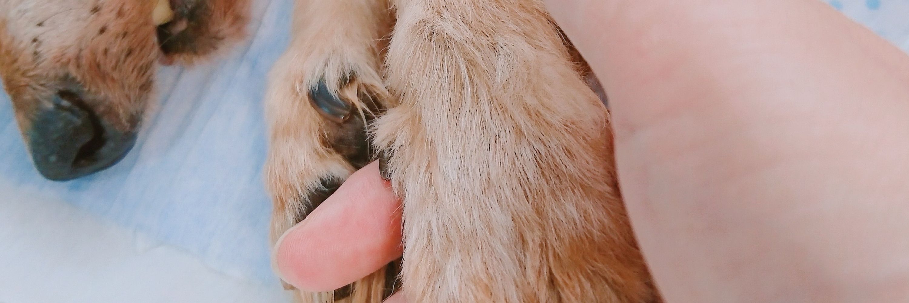みう