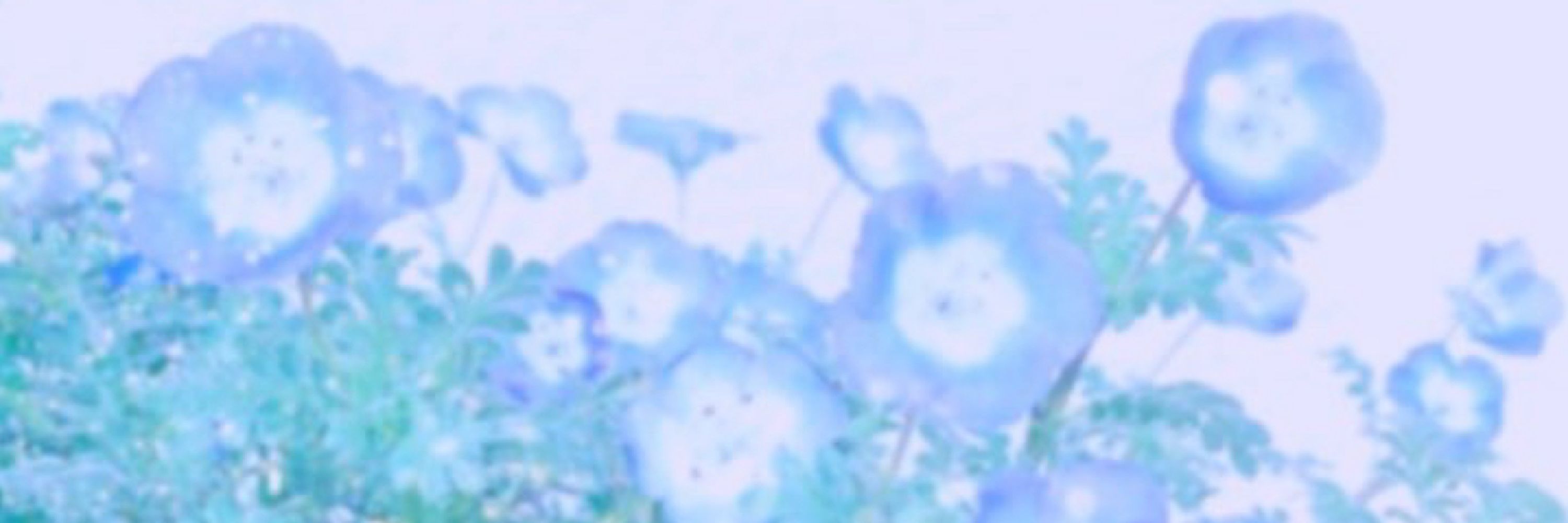 夕星