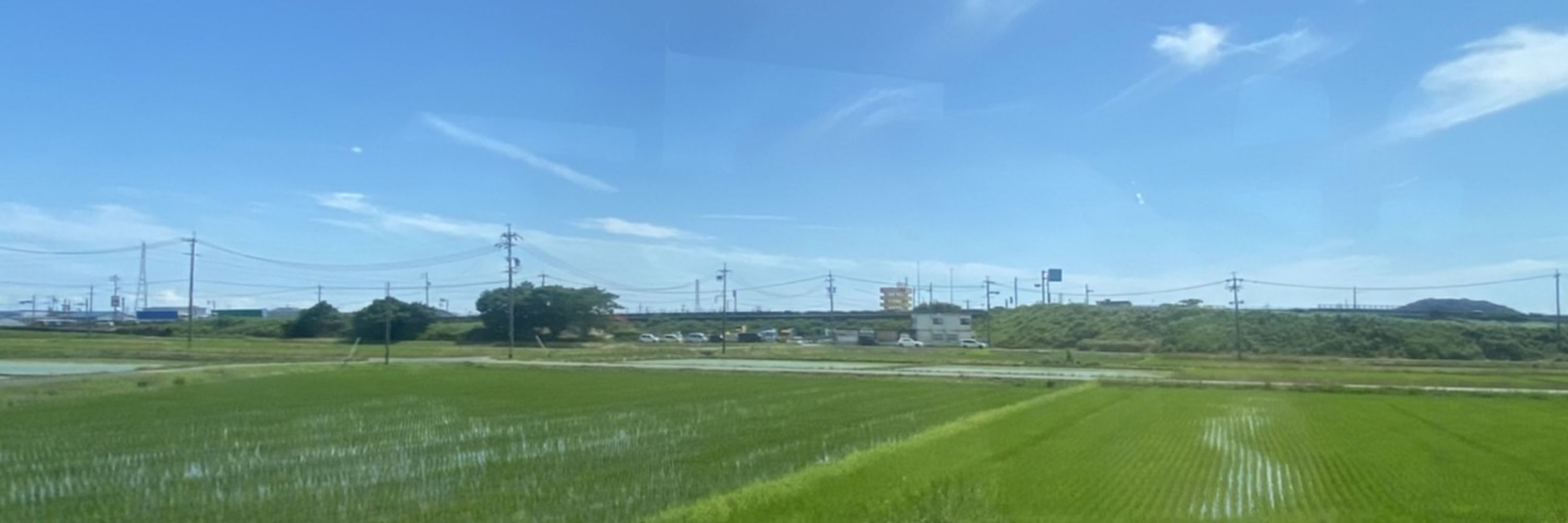 おなかヒヱル🌞