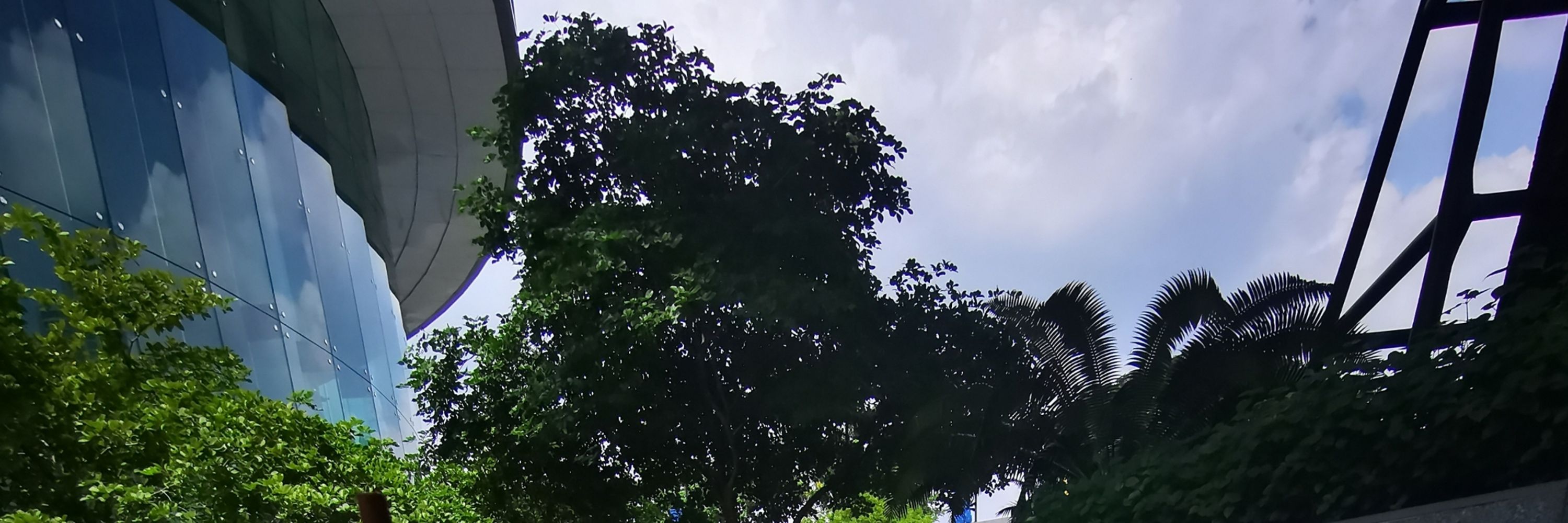 Eucrst_