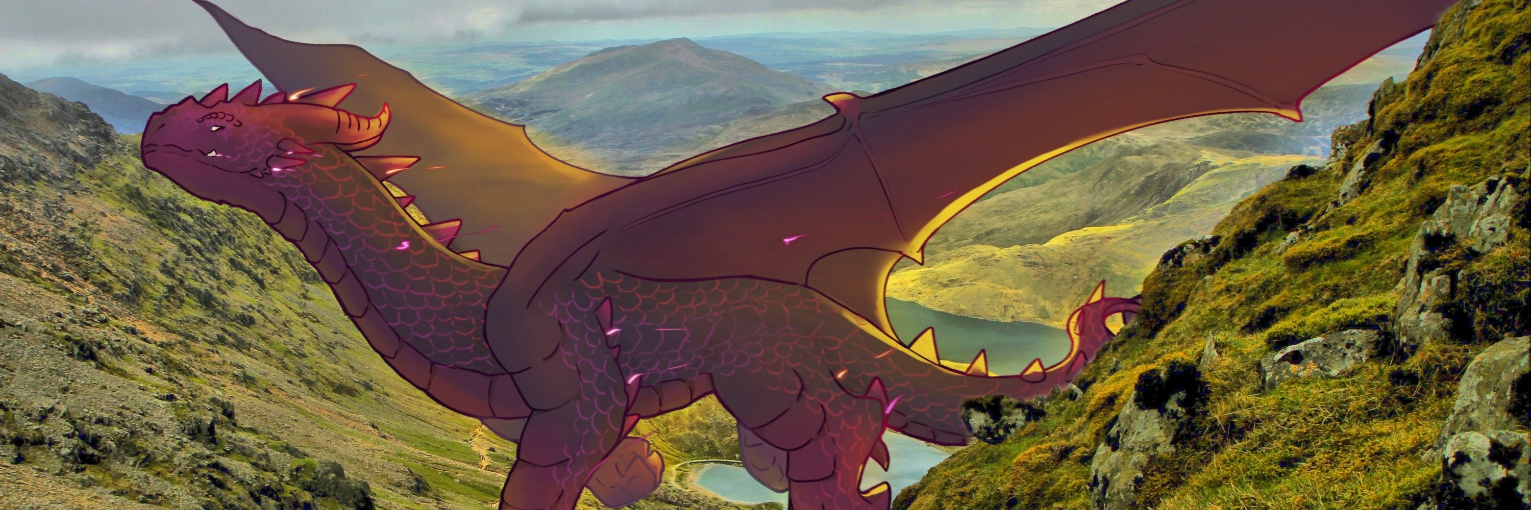 Nyx Camba Diaz 🐲
