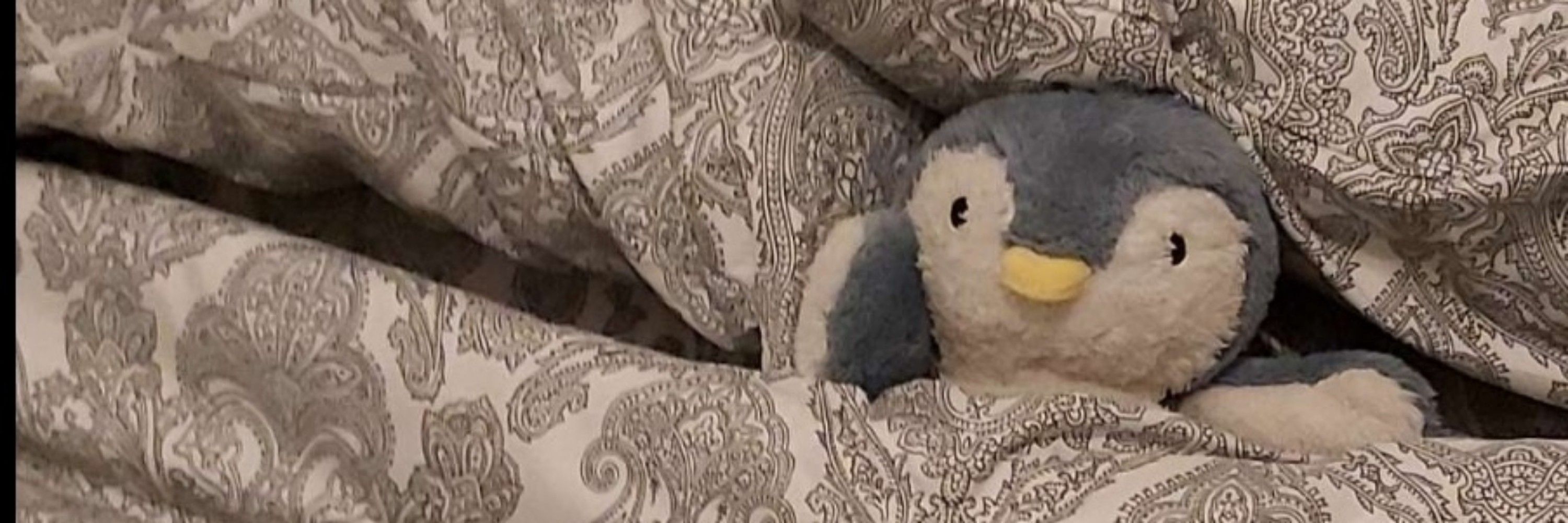 BirbBoi