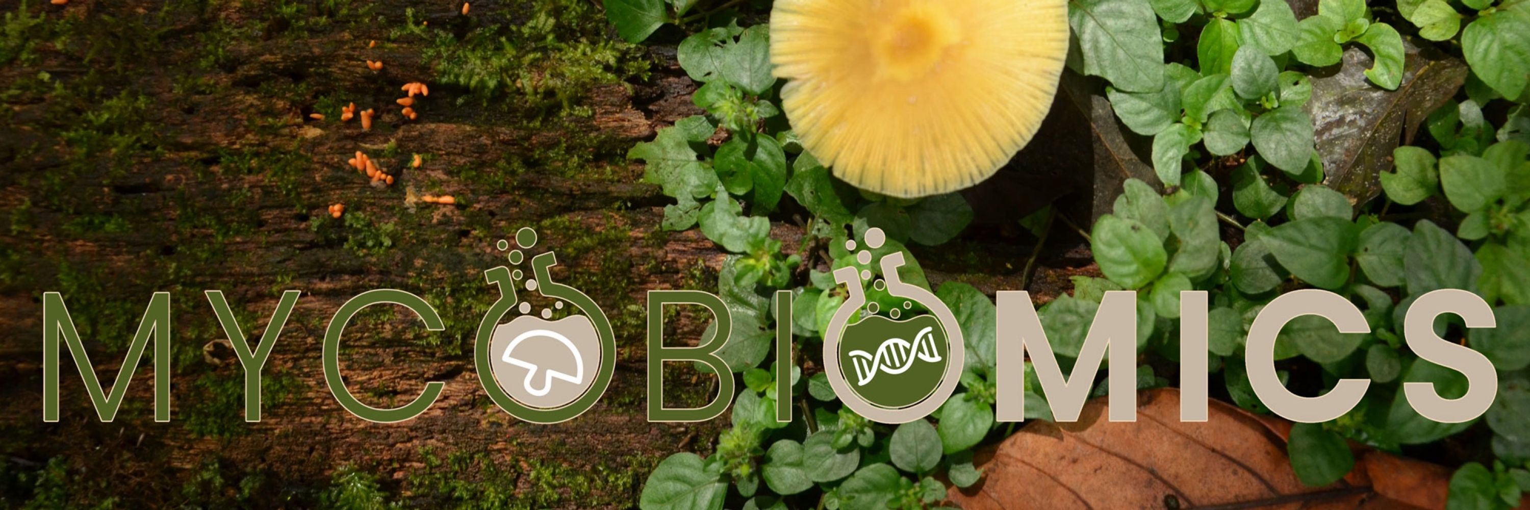 Mycobiomics