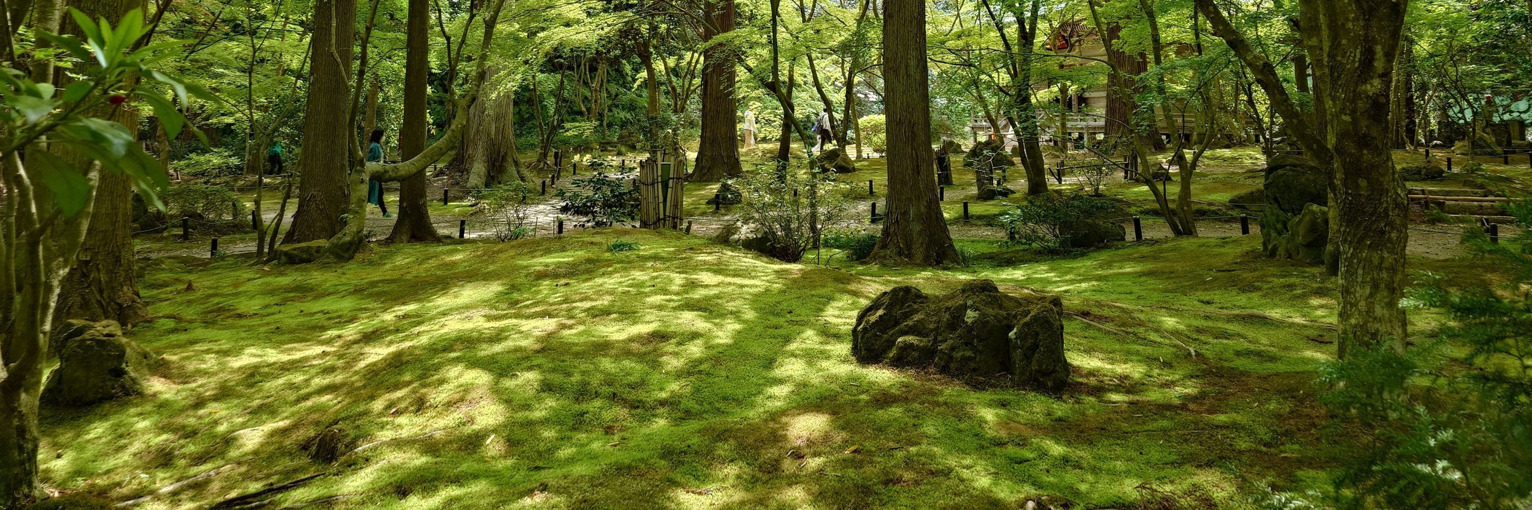 りえる