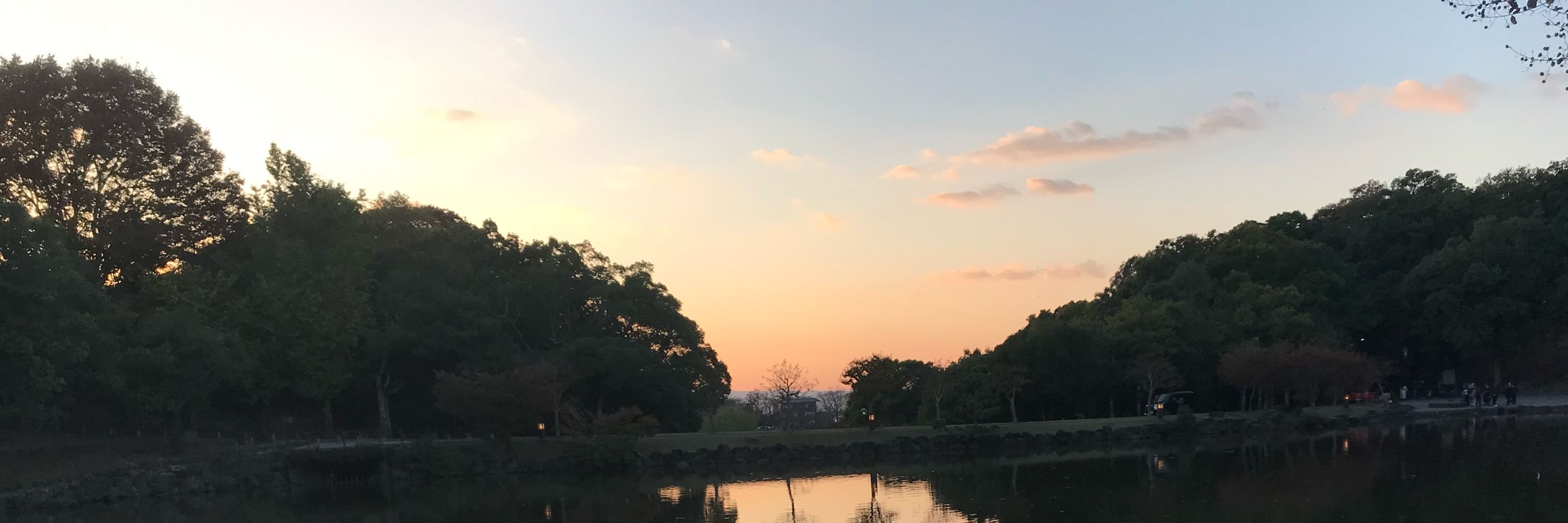 こん