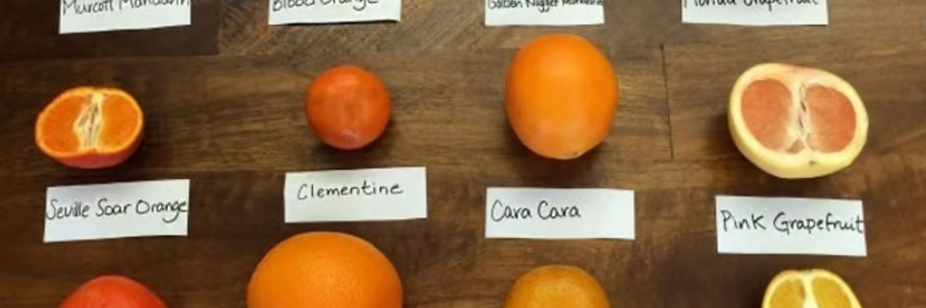 Mandarina Clementine