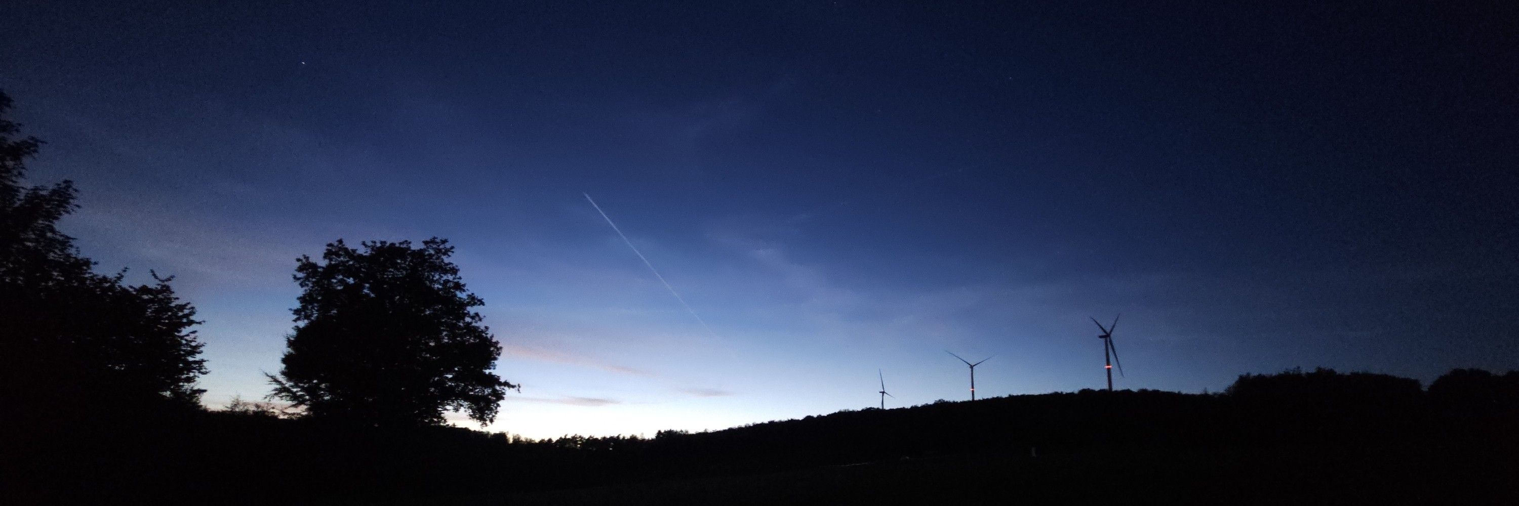 Dusky Flare