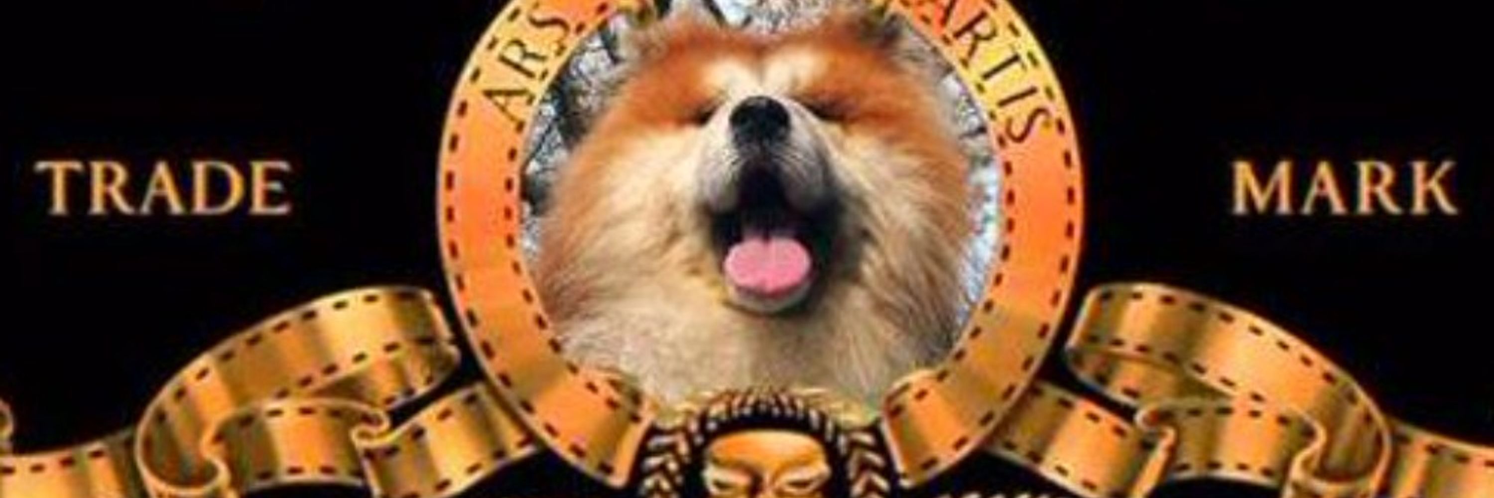 犬さん