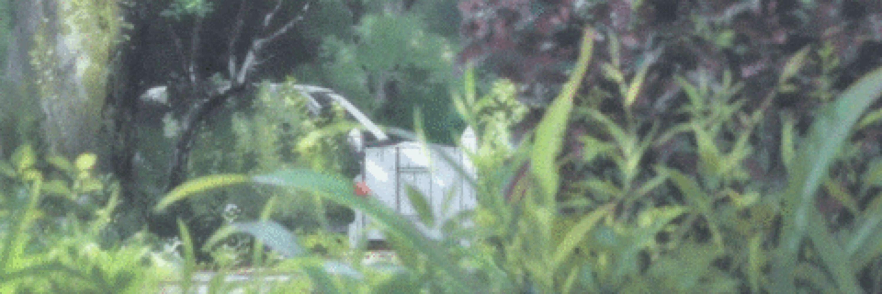 basil bug ✿