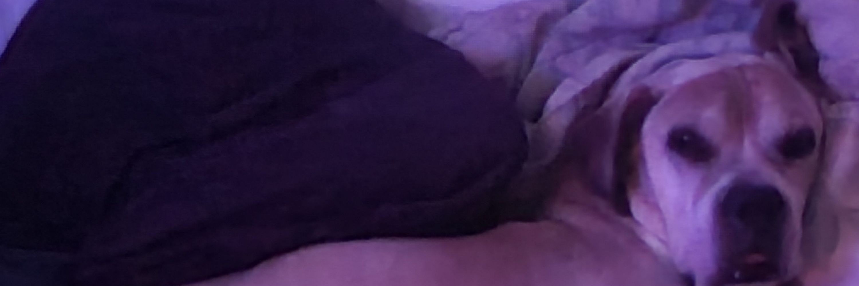 Una