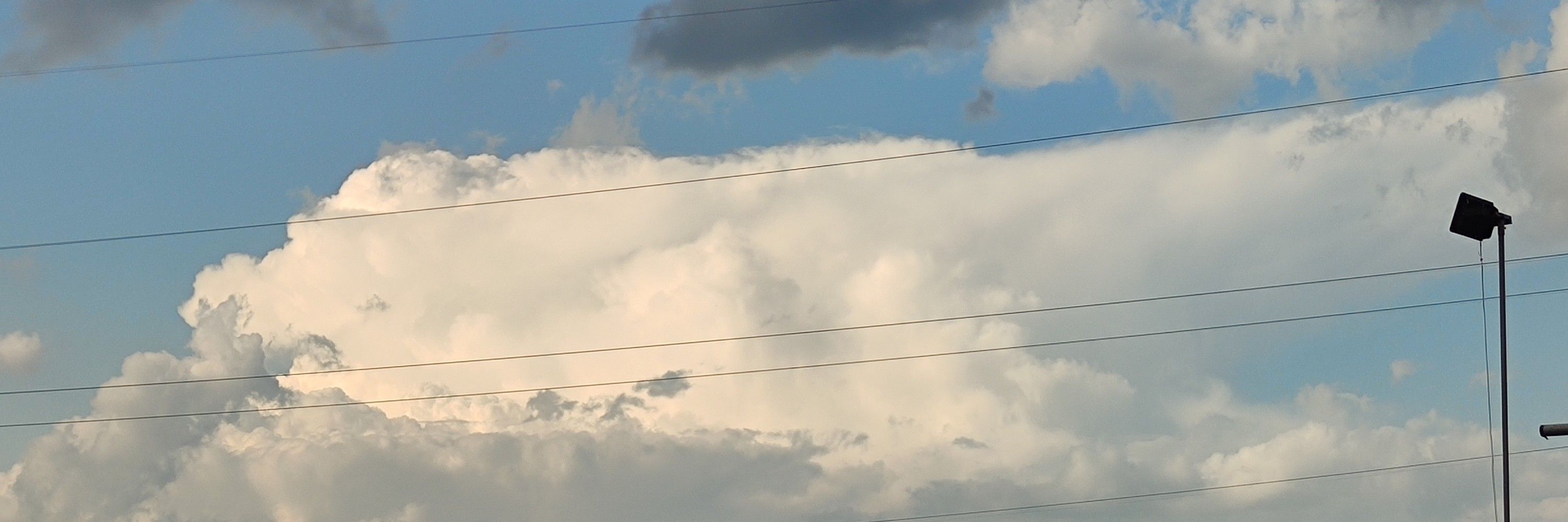 дарина