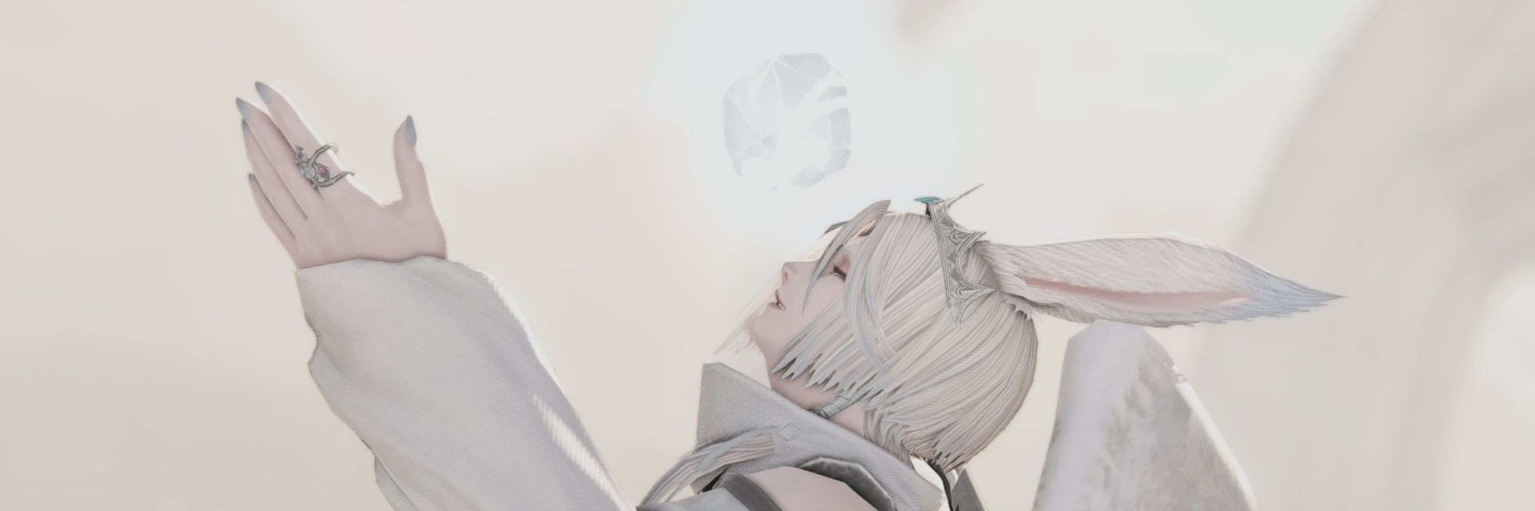 ゆき