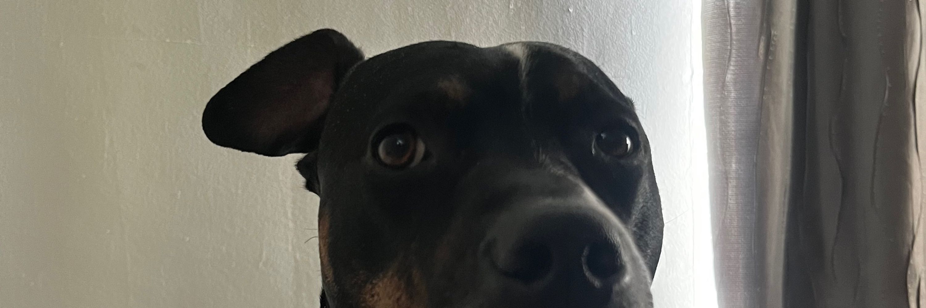 Cierra