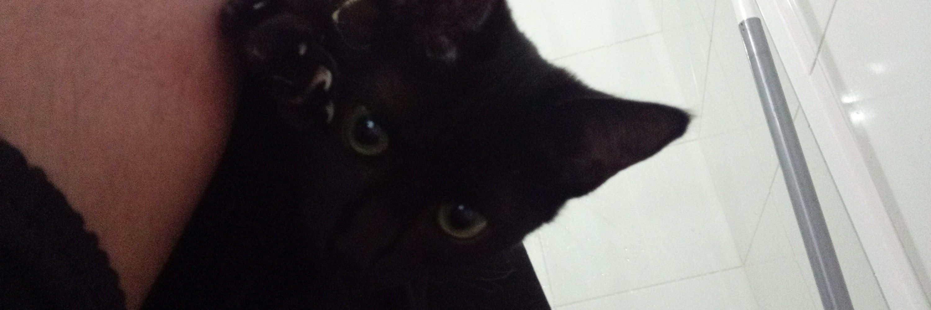 beatrizo