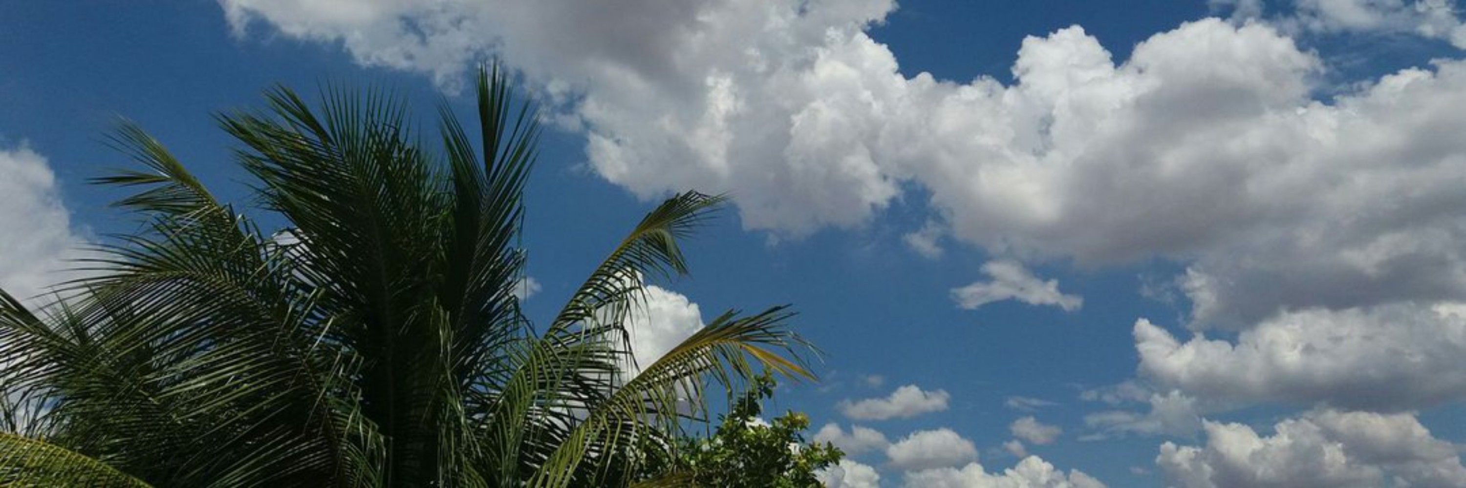 Suenia