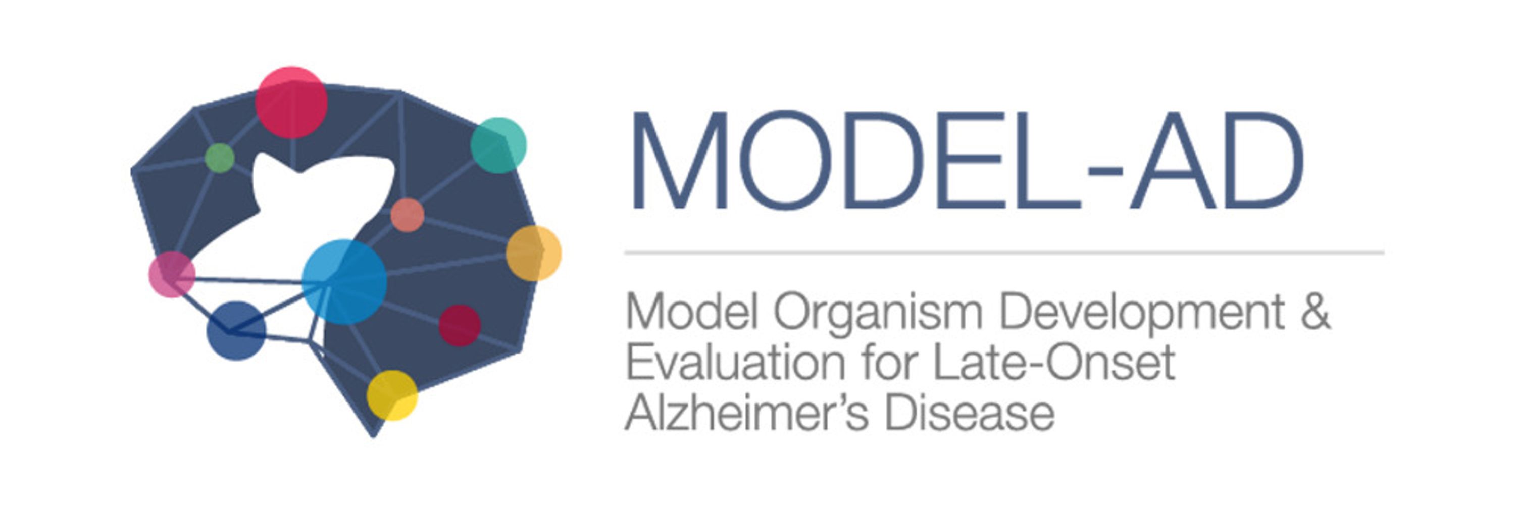 MODEL-AD