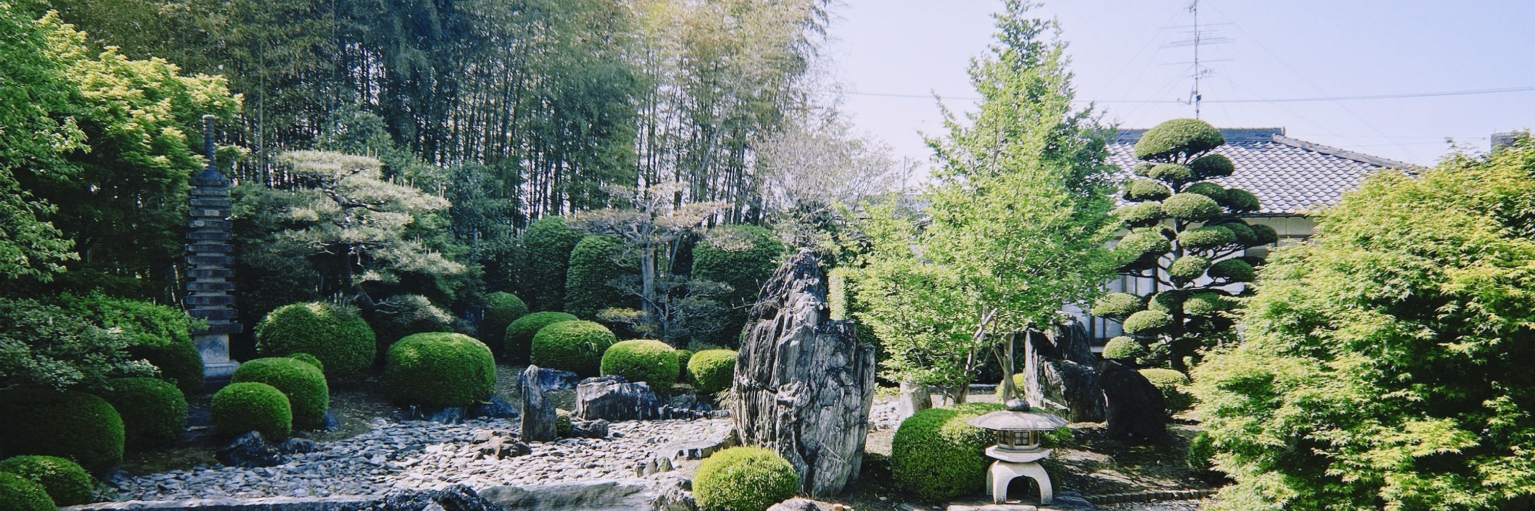 まつ