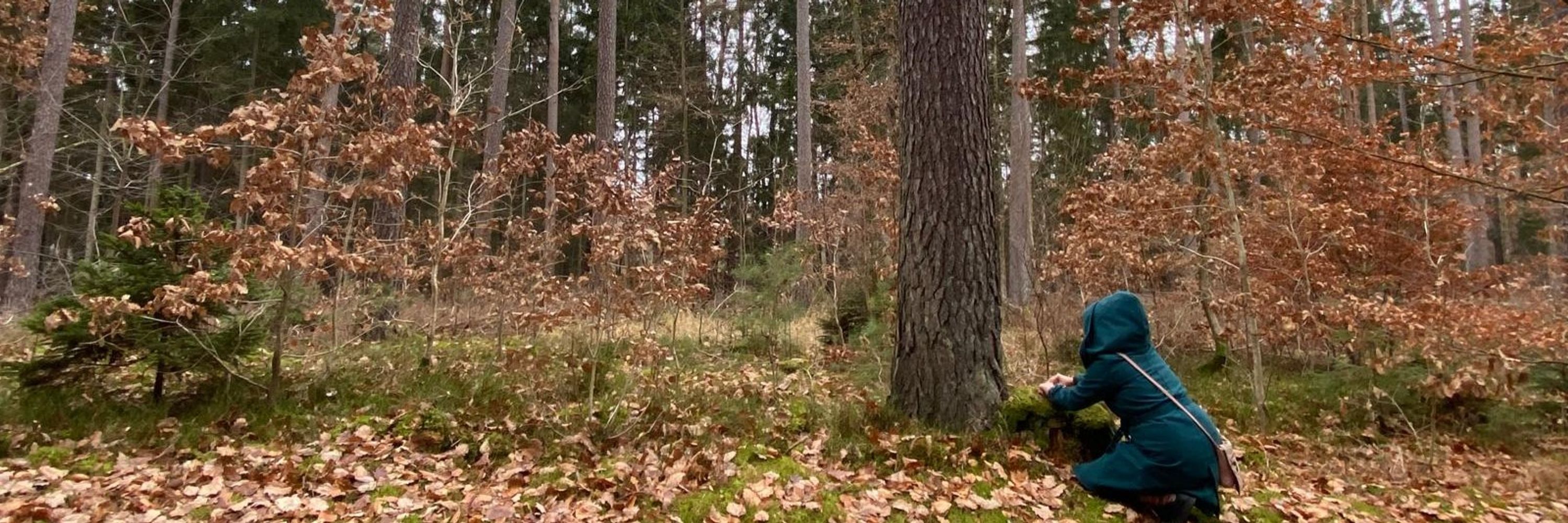 Susann