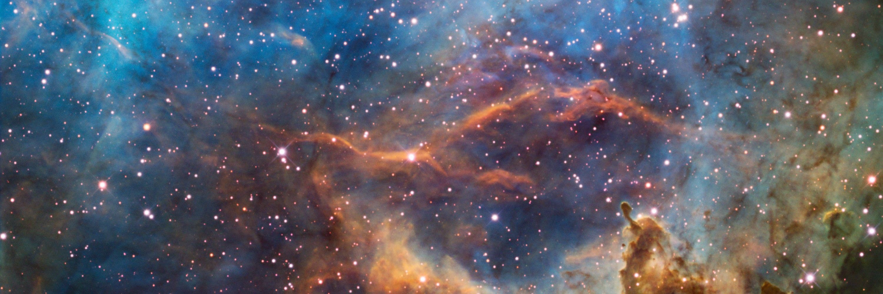 Blue SpaceBird