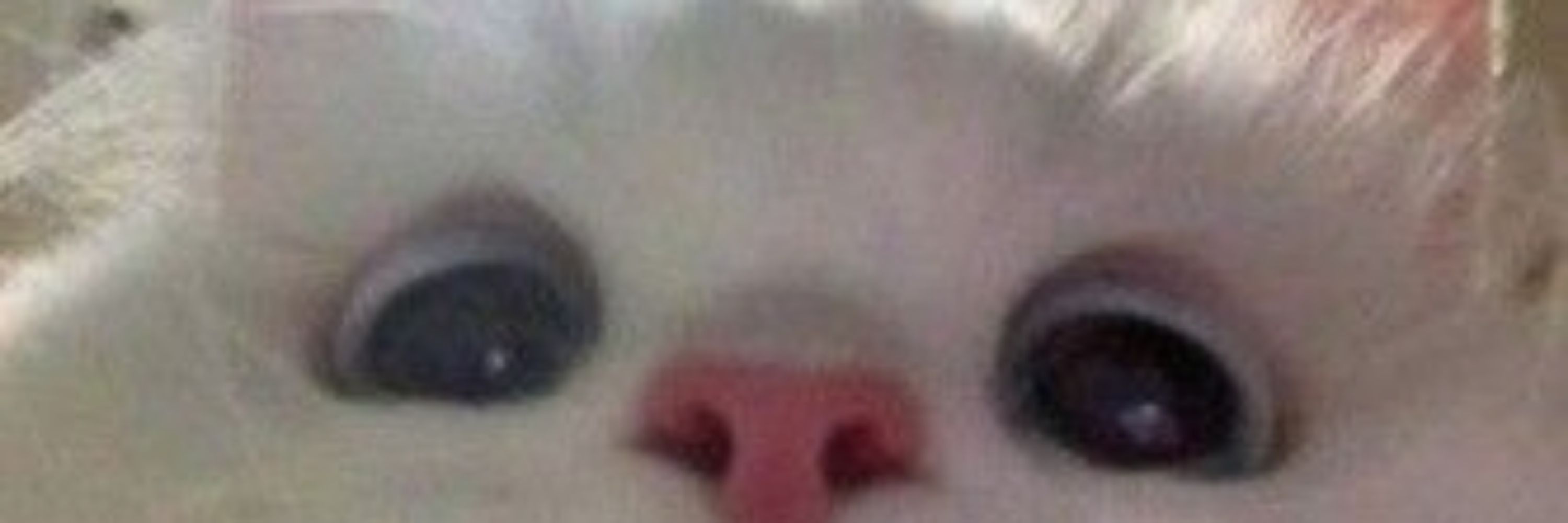 Krowei