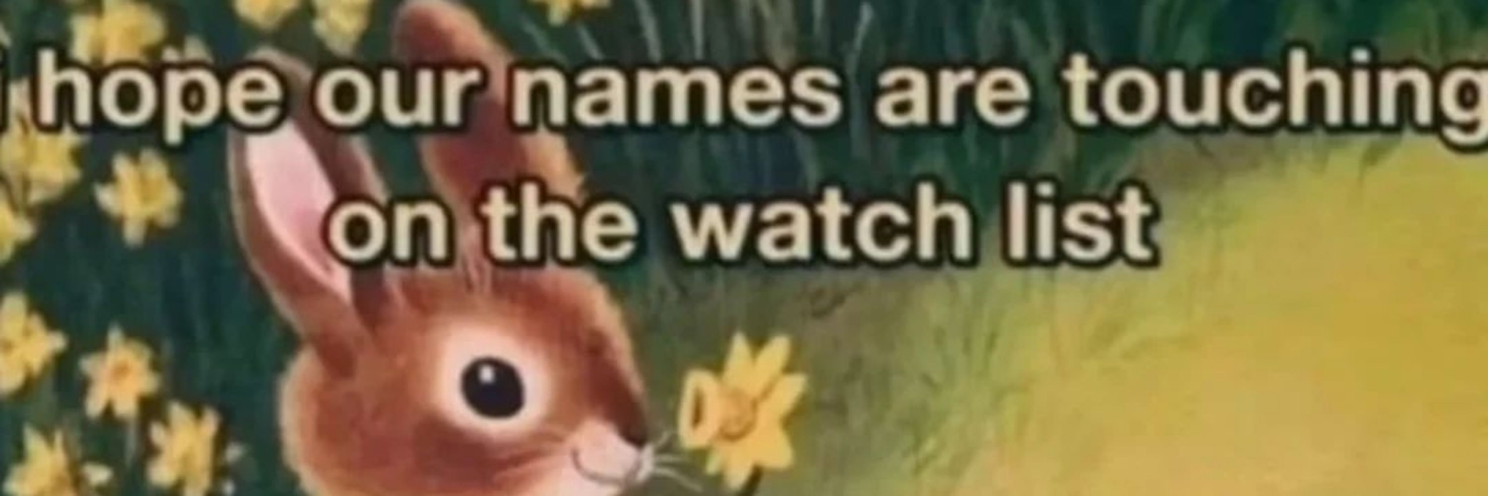 🧑🏼‍🤝‍🧑🏻🛸🌷🪻🍉🔻✨️🐿