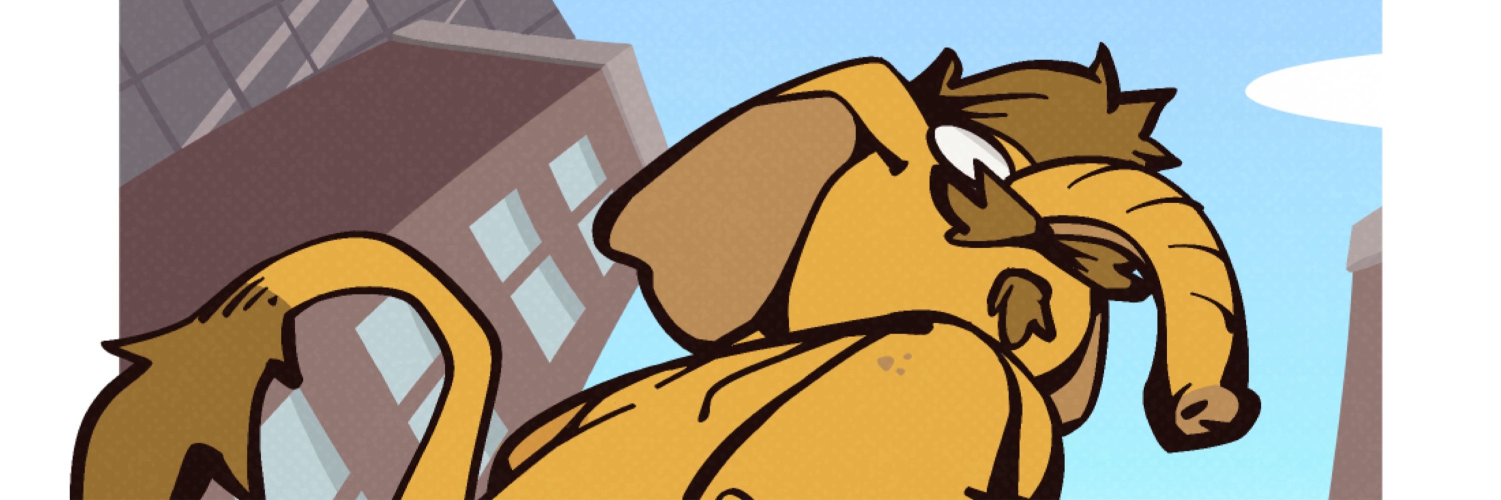 Profile banner