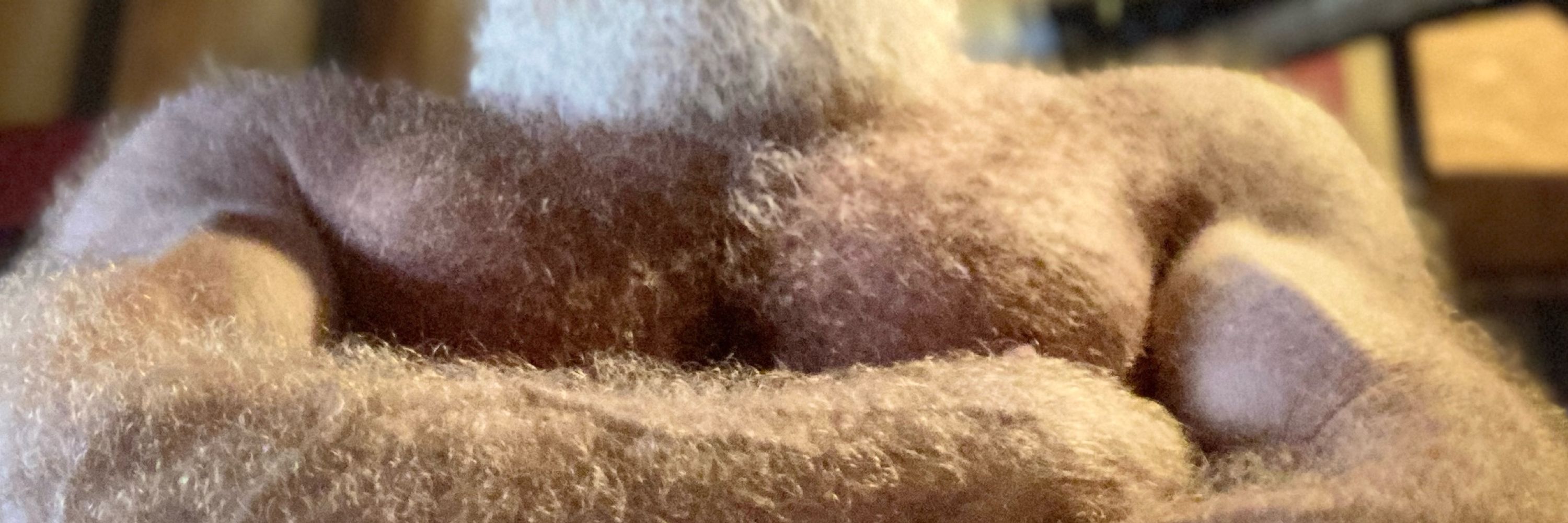 HairyGingerDad