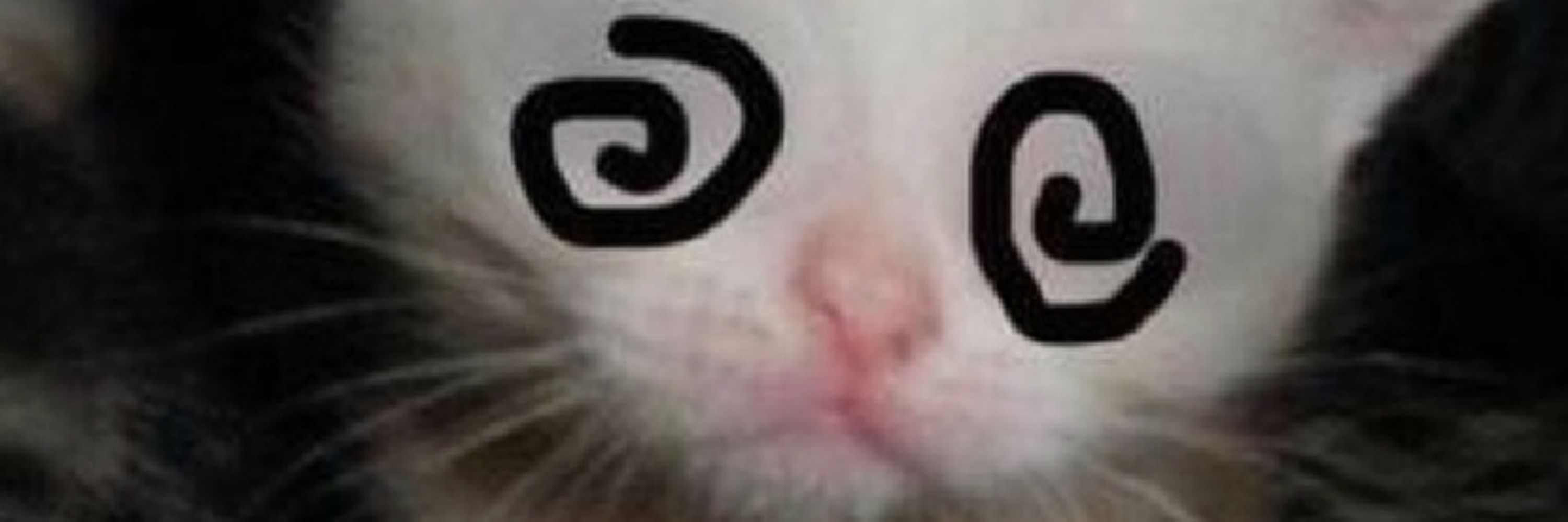 giiii