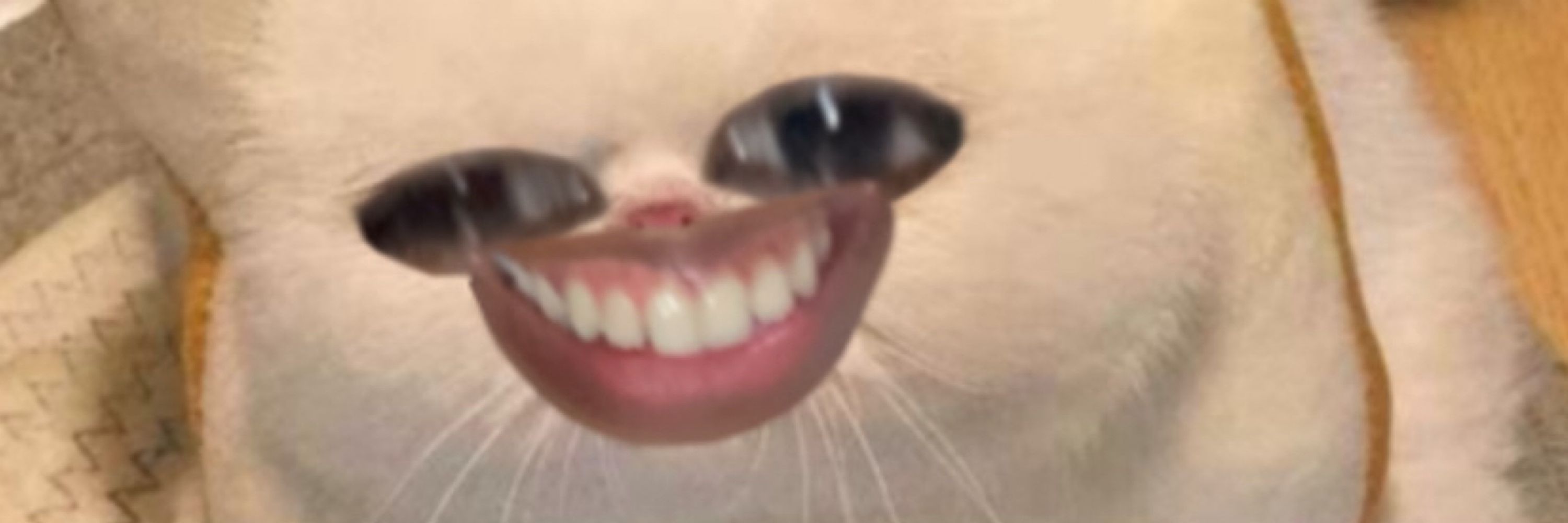 Ⓜ️