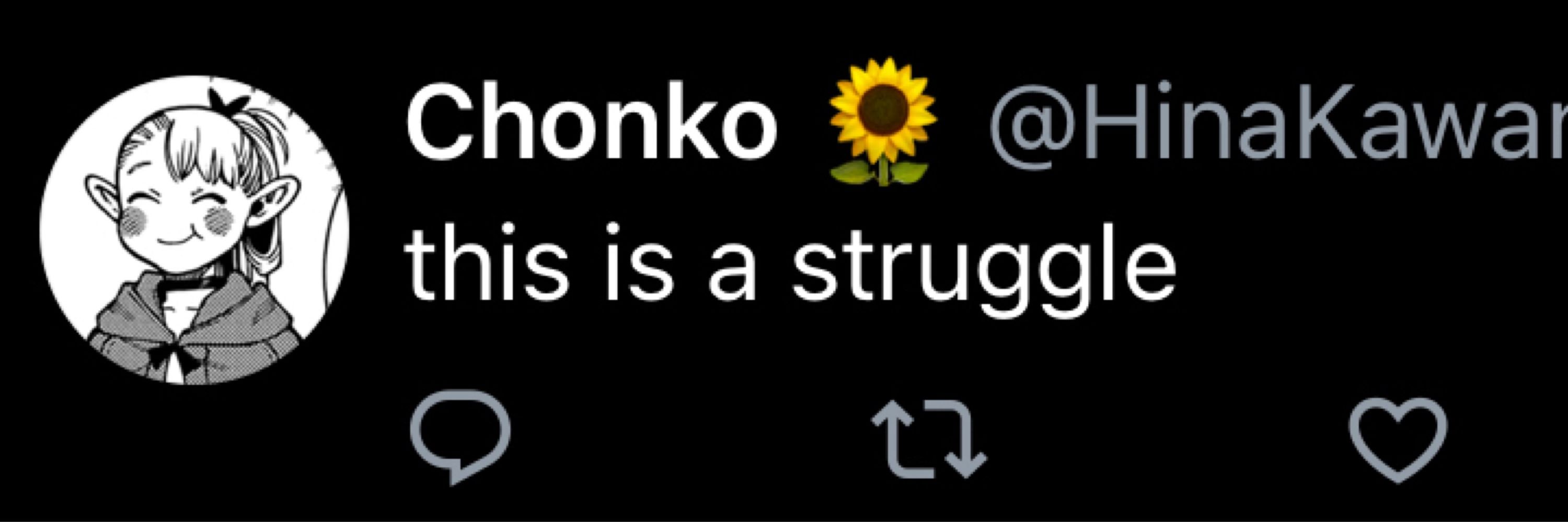ChonkoStruggles