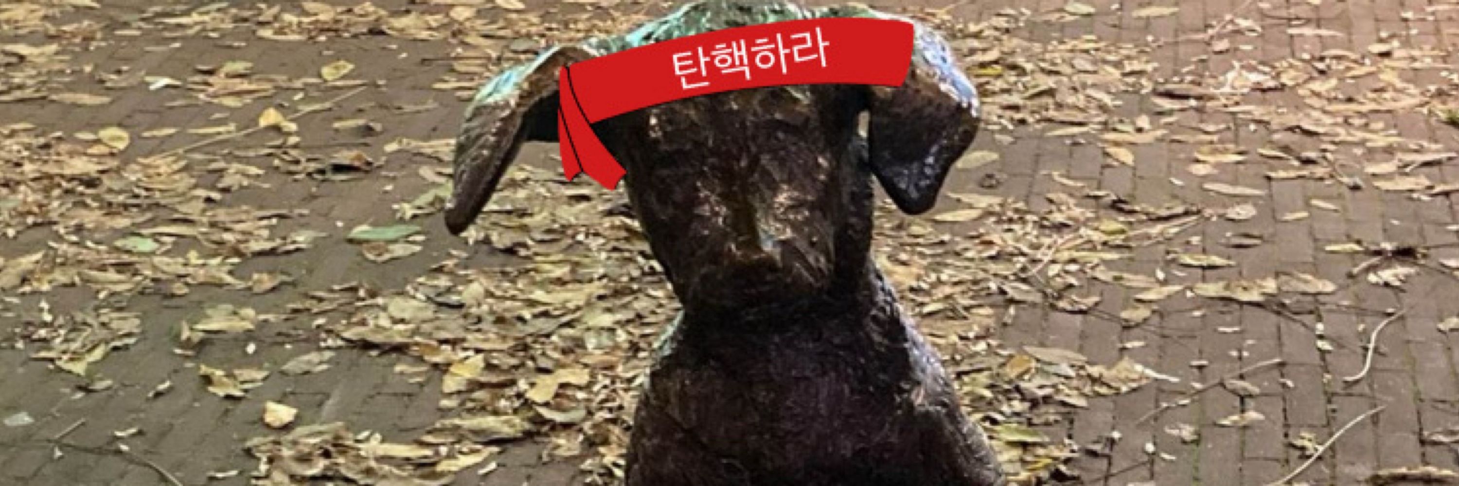 정철수 (비번까먹음)