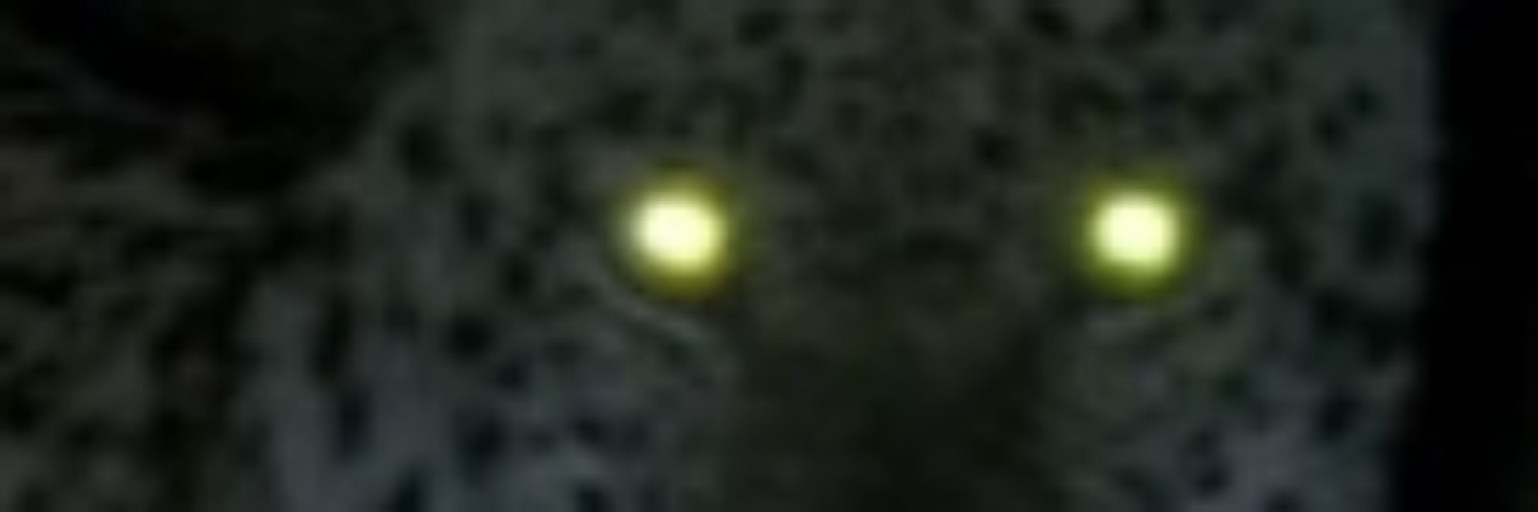 WatchingOne