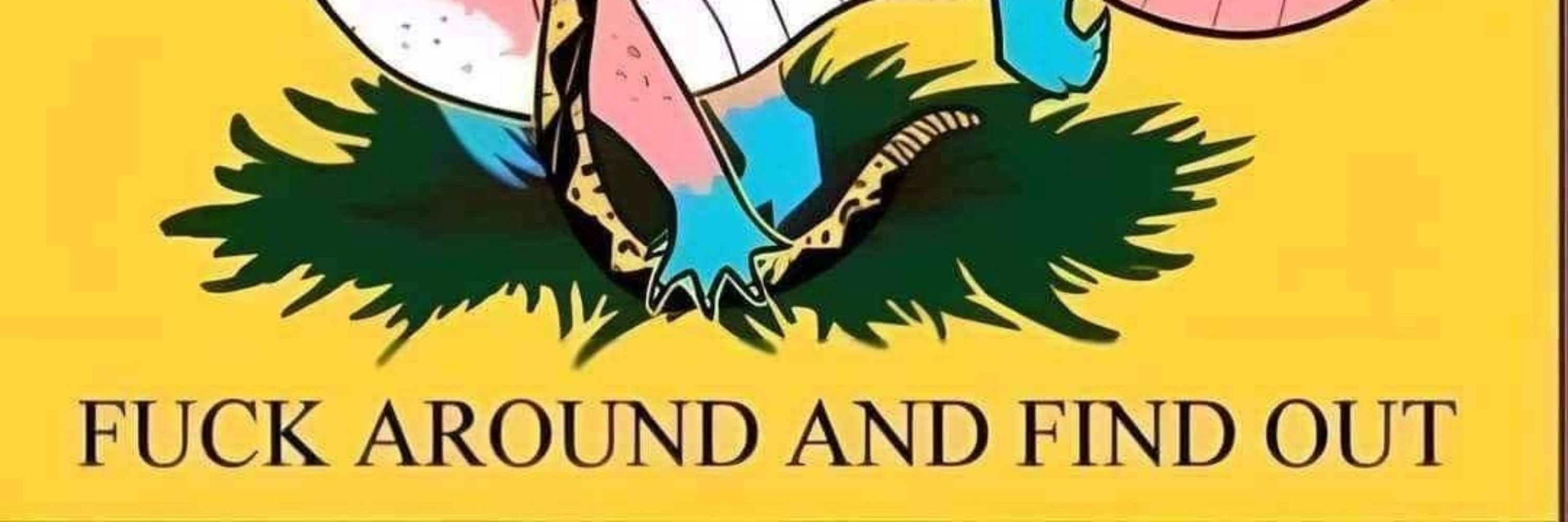 𝔖𝔢𝔞𝔠𝔥𝔞𝔦𝔫𝔢𝔡