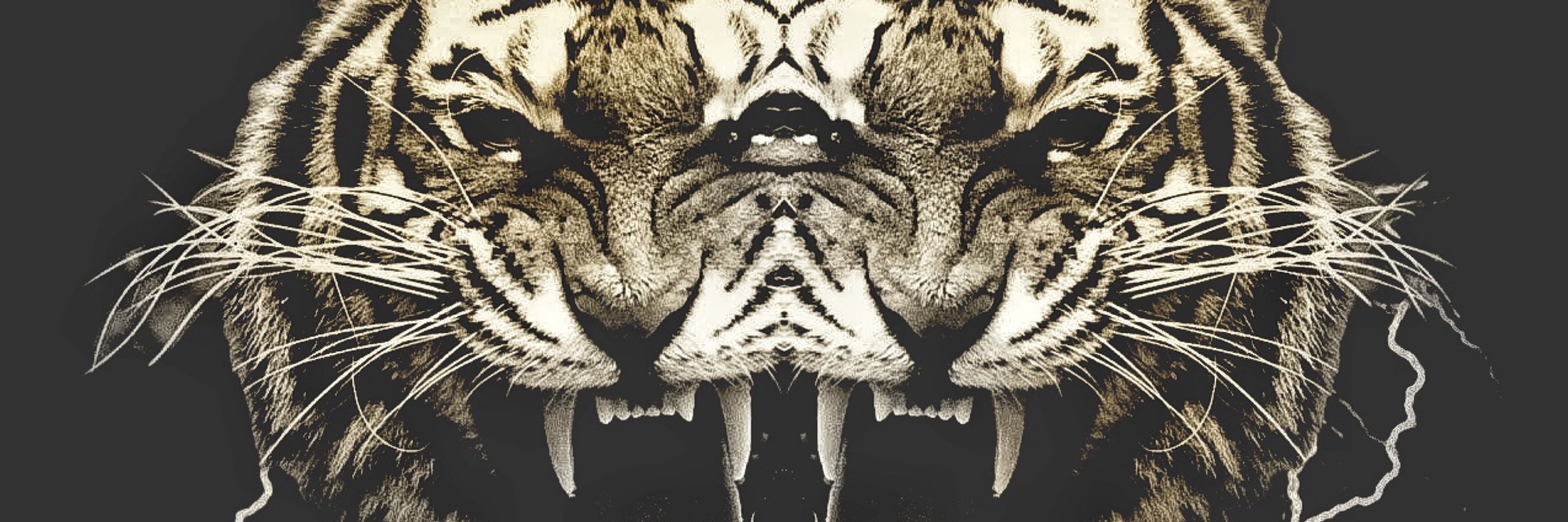 Aphorize
