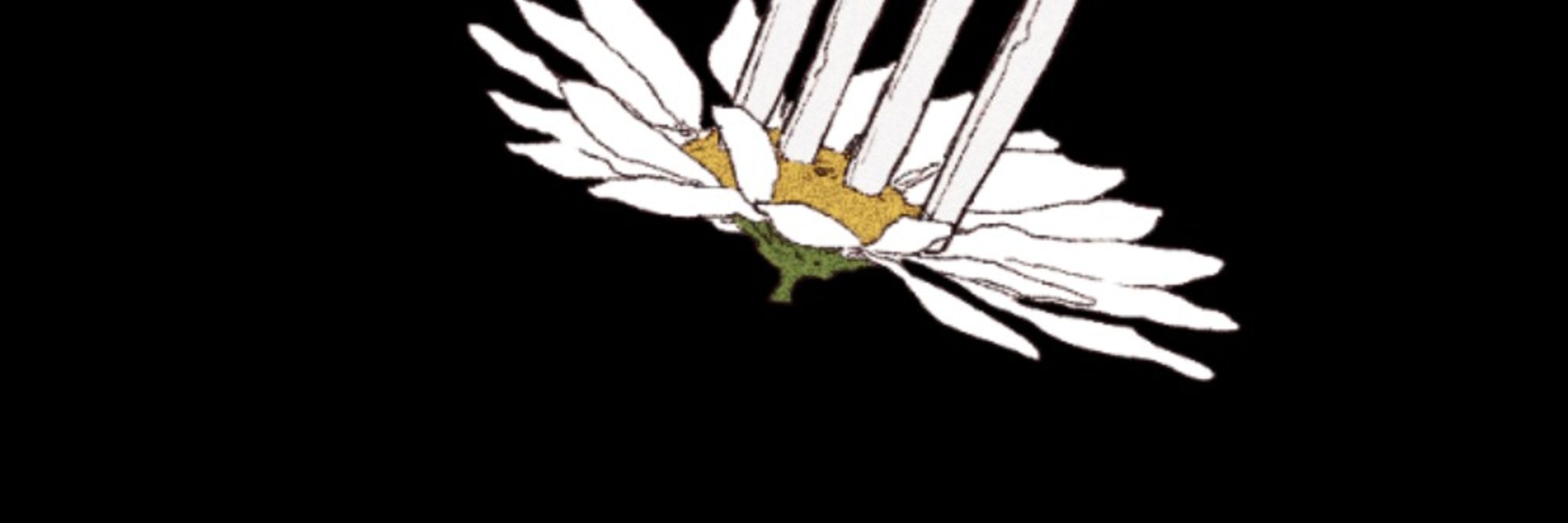 umu