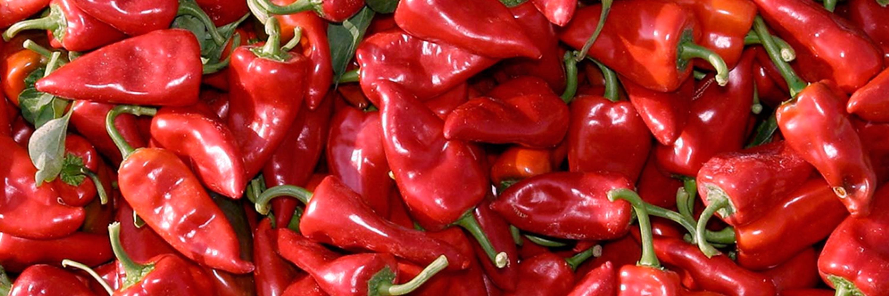 Pimiento del Piquillo de Lodosa D.O.