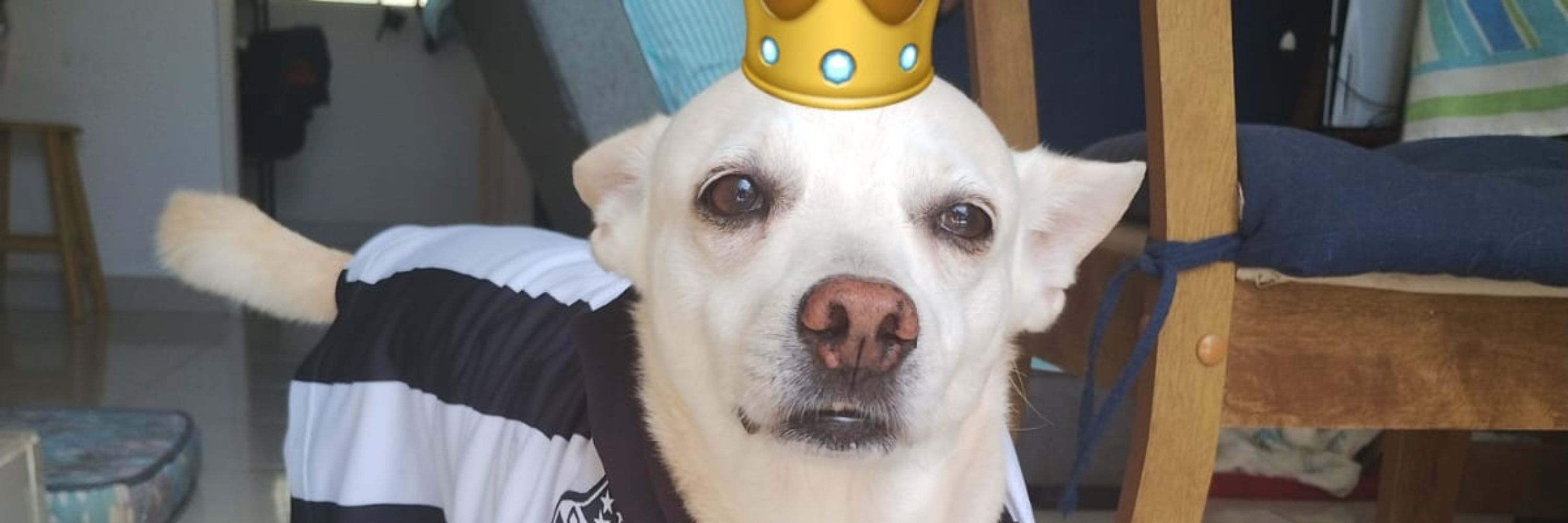 Cássio 