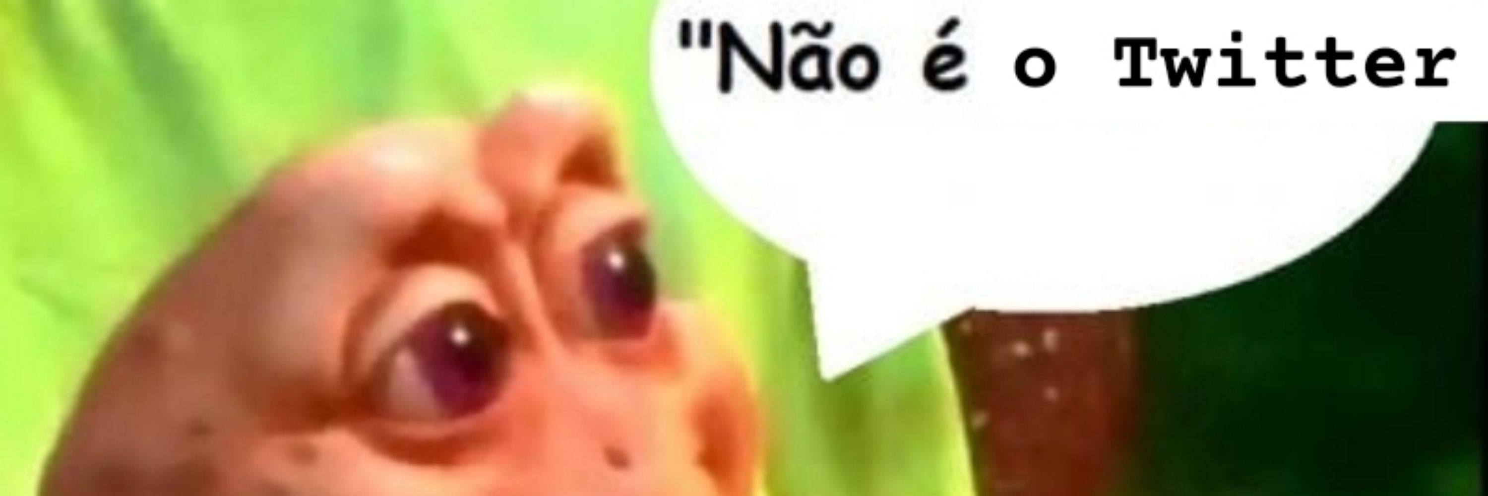 Ive Ribeiro 
