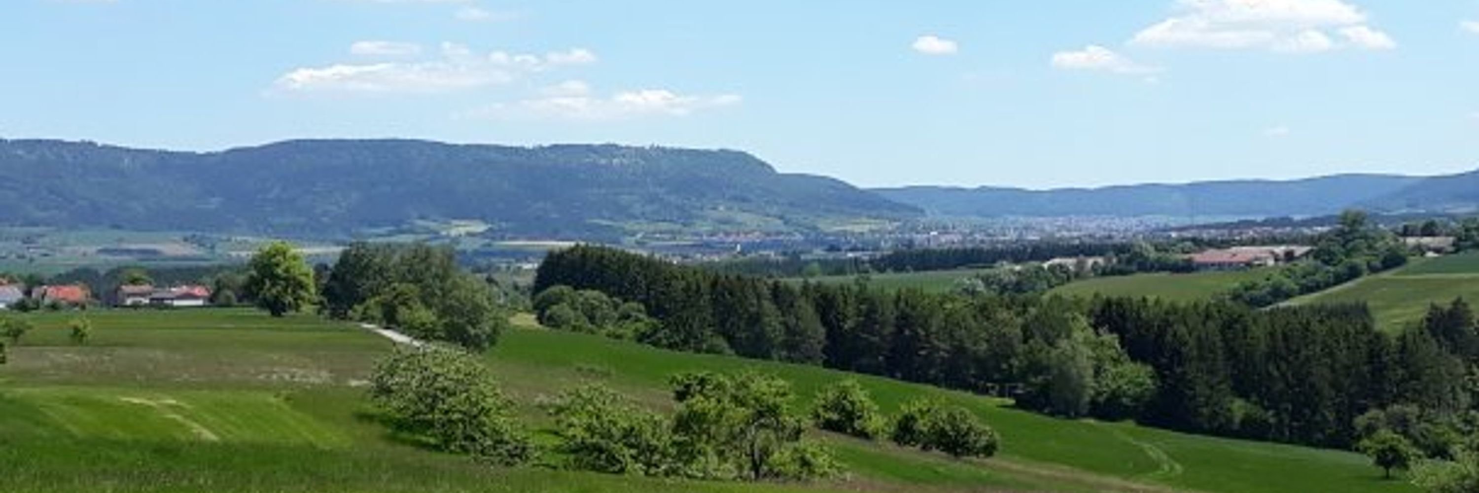 Nebelwirkung