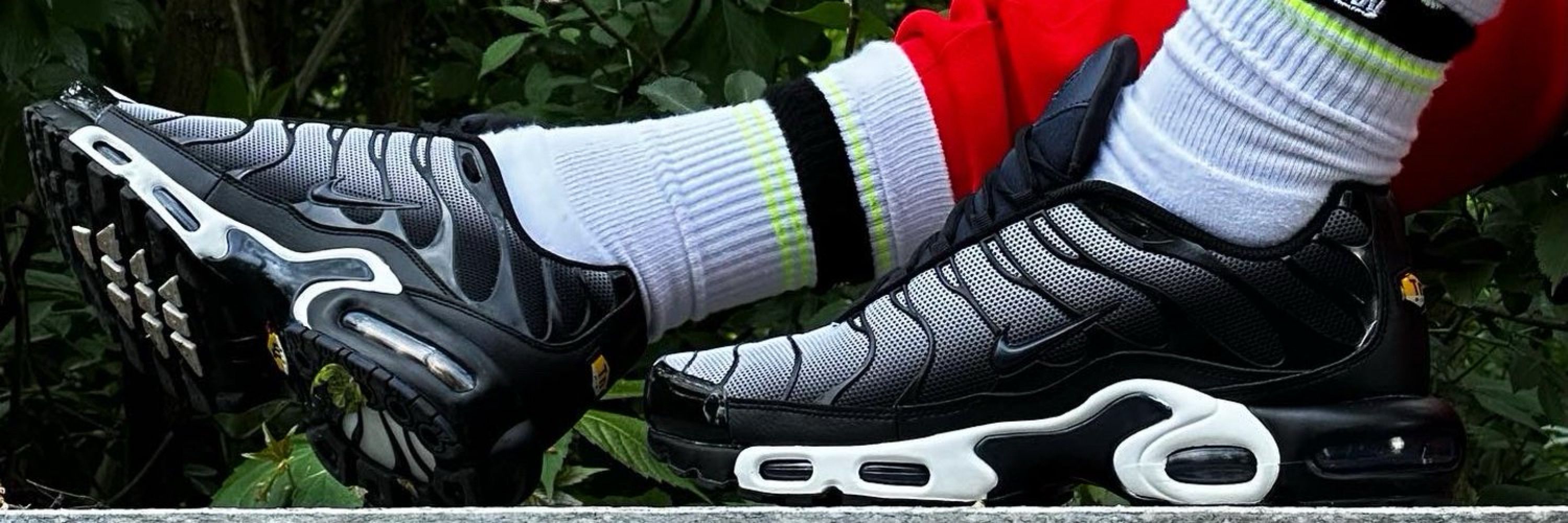 sneakerguyita