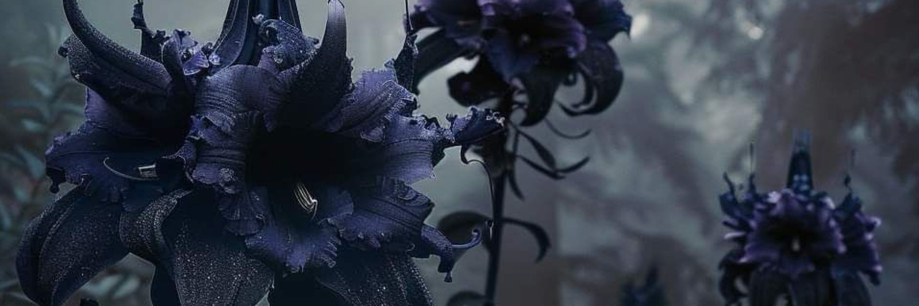 ˚˖𓍢✧˚Fαҽɾყɳ˚✧𓍢˖˚