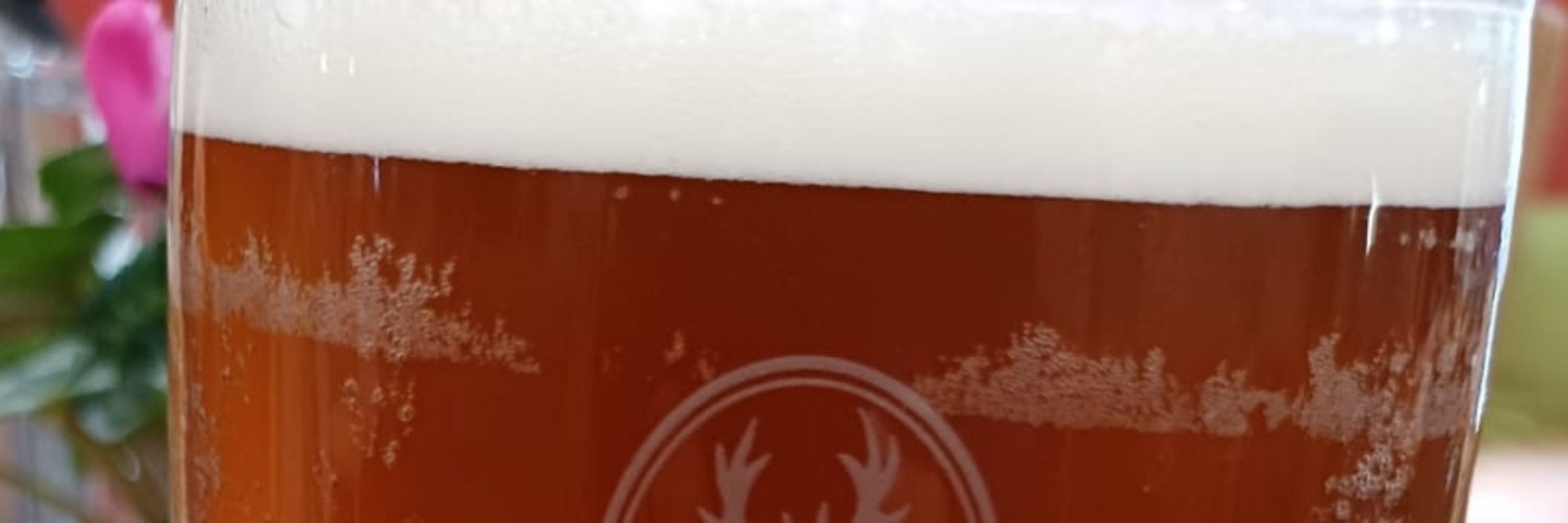 Ale Beer Cider