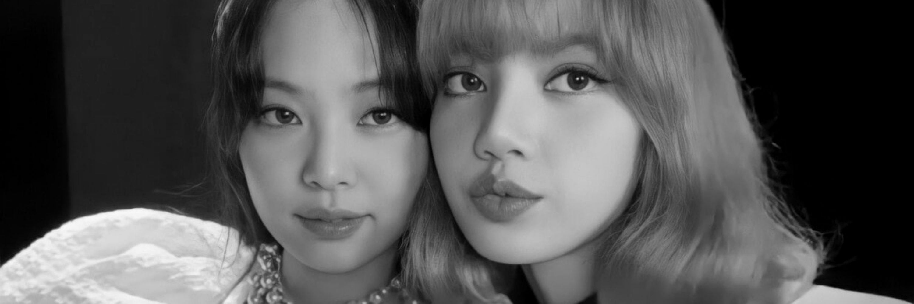 acervo jenlisa