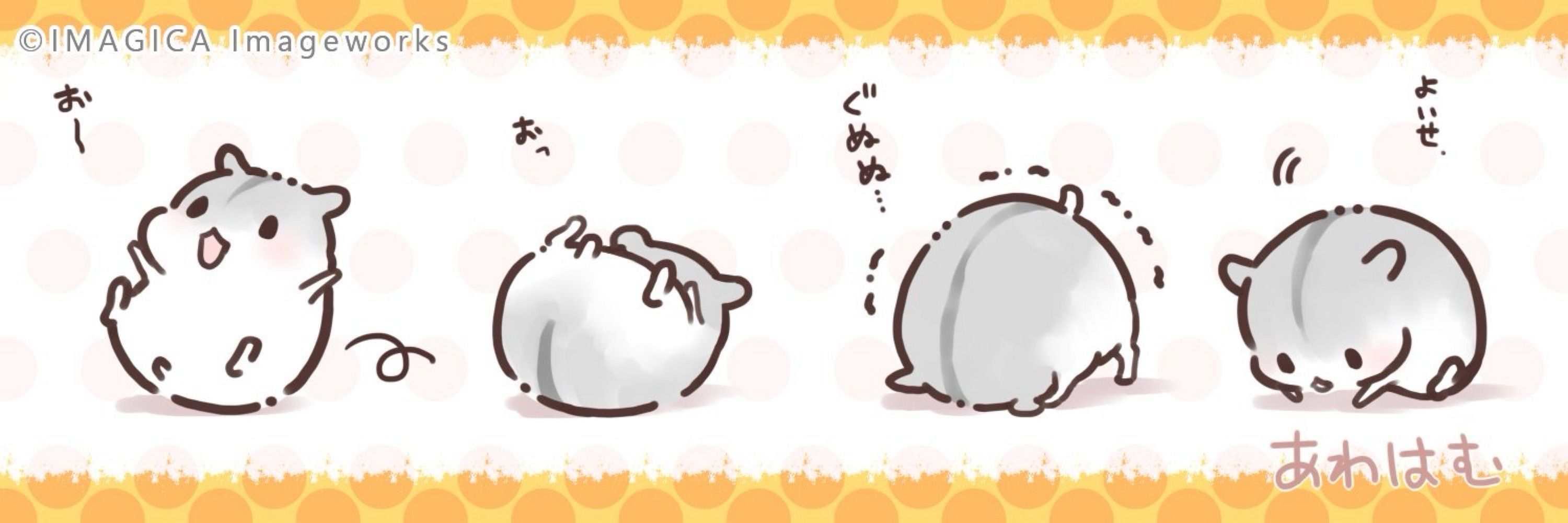 ジャンガリアン熊スター