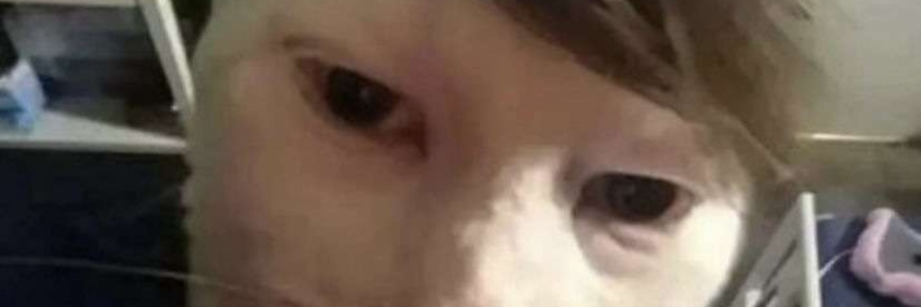 DingDonger