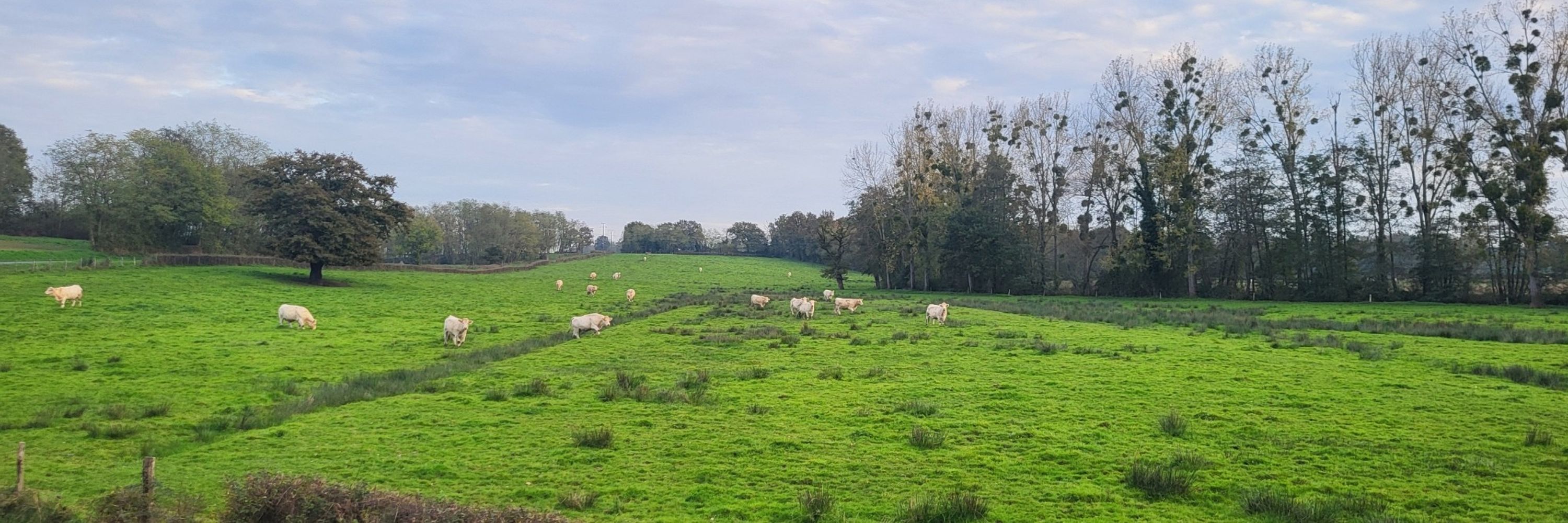 gueguette