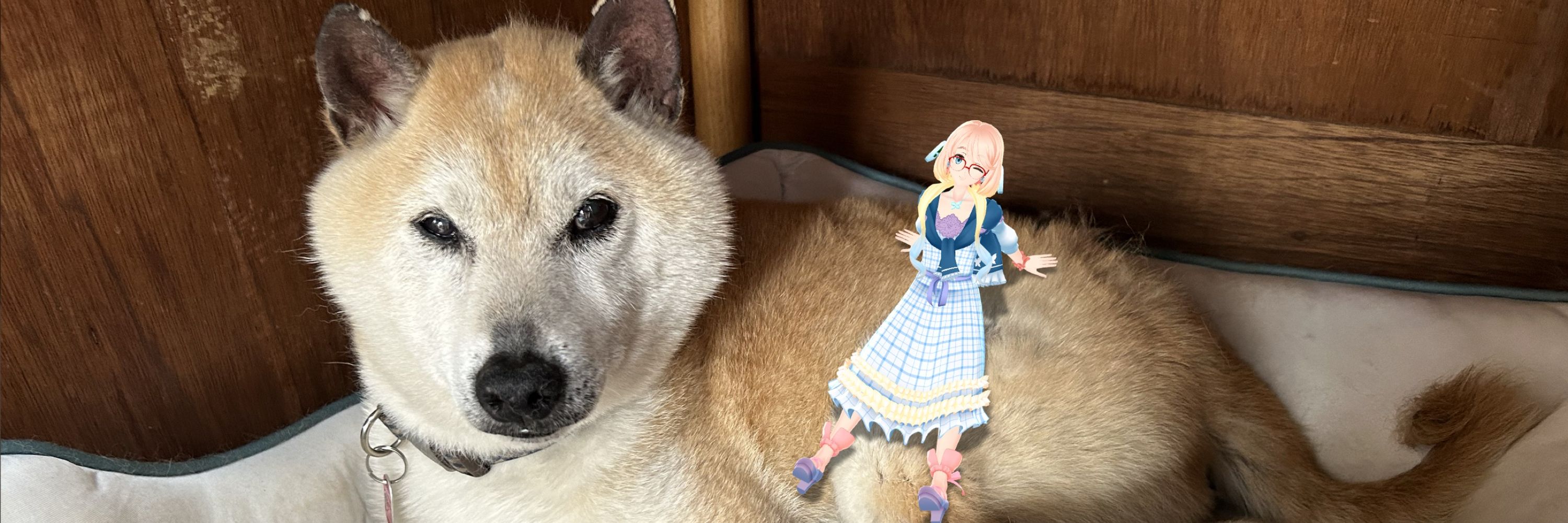 Tsumi