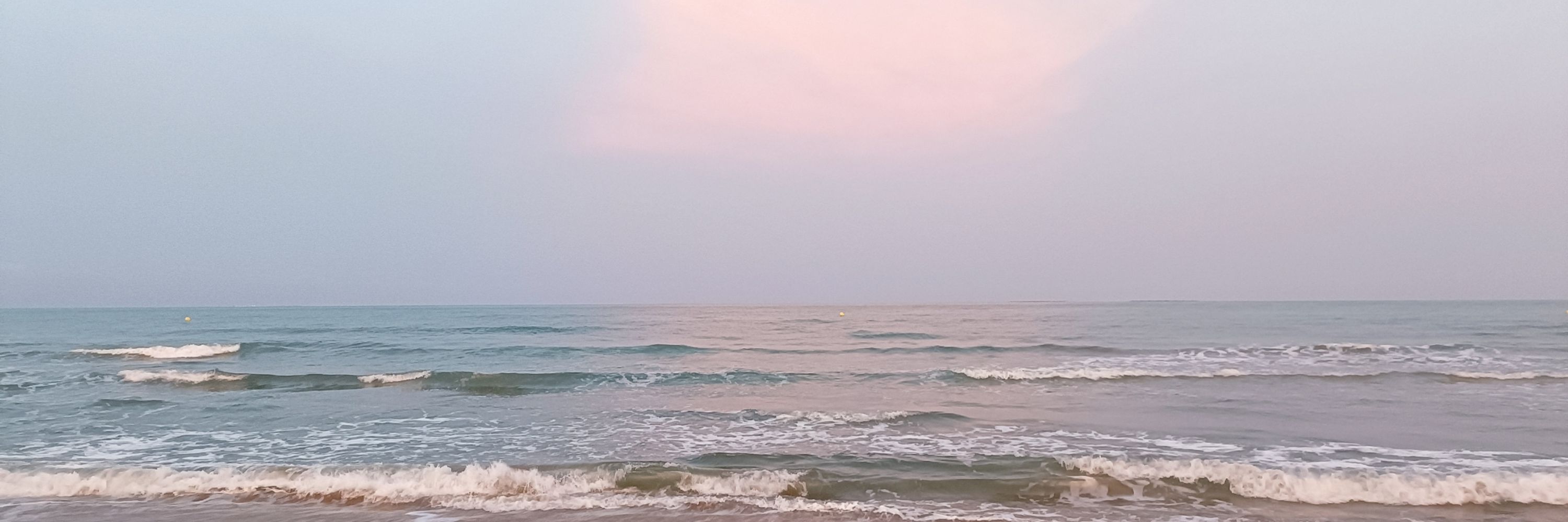Mª Paz