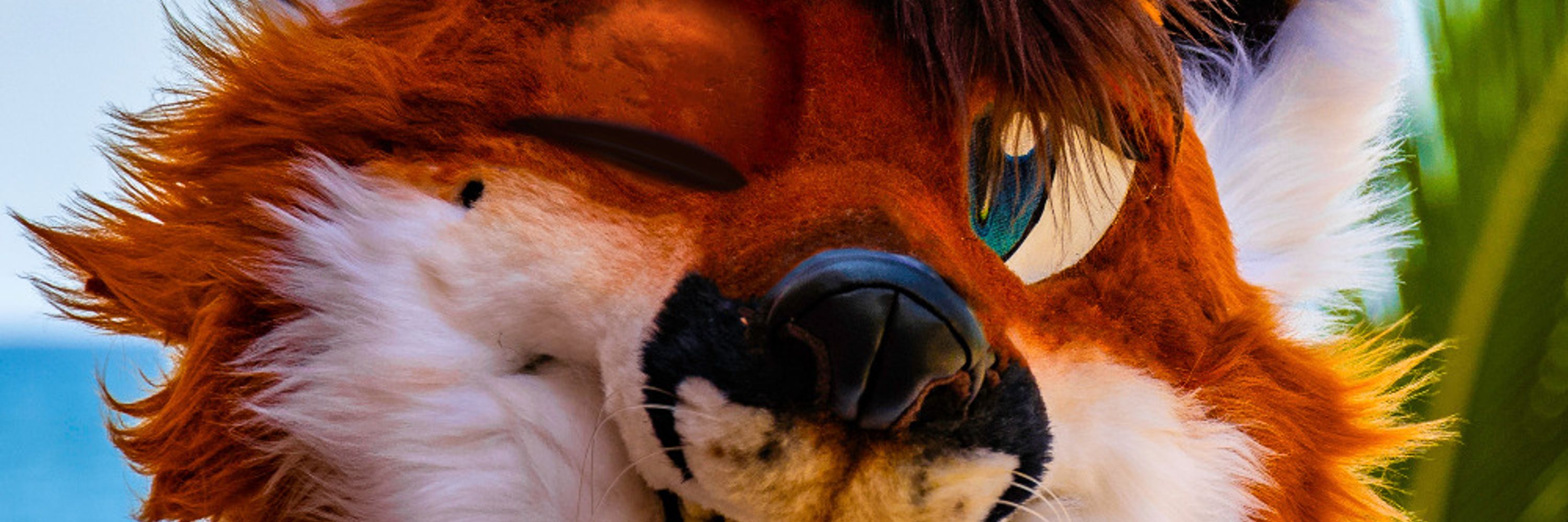 BlakeFox