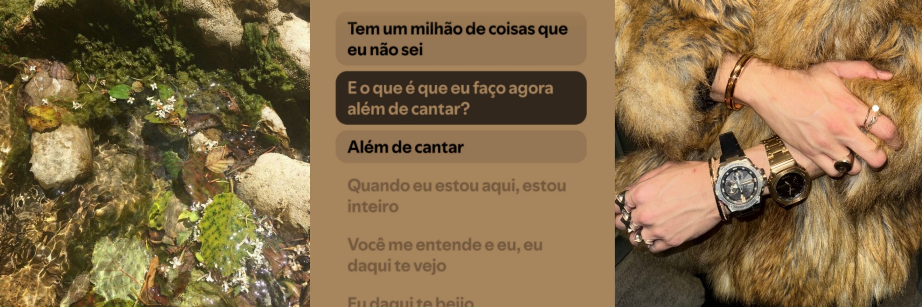 max & ten acc de casal
